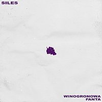 Siles – Winogronowa Fanta