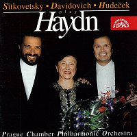 Sitkovetský, Davidovičová, Hudeček hrají Haydna