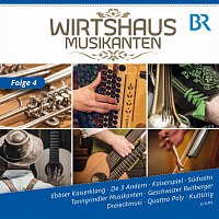 Různí interpreti – Wirtshaus Musikanten BR/FS, F.4