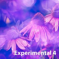 Sandro – Experimental 4