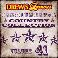Přední strana obalu CD Drew's Famous Instrumental Country Collection [Vol. 41]