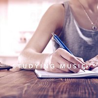 Chris Snelling, Nils Hahn, Unique Chill, Robin Mahler, Bella Element – Studying Music