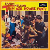 Přední strana obalu CD Teenage House Party