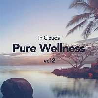 Přední strana obalu CD Pure Wellness Vol 2