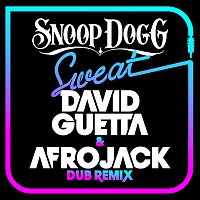 Snoop Dogg, David Guetta – Sweat (David Guetta & Afrojack) [Dubstep Remix]