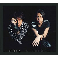 Surface – Fate