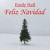 Feliz Navidad [Acoustic Cover]