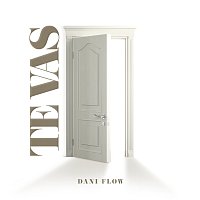 Dani Flow – Te vas