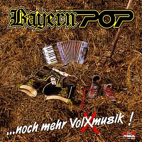Bayern Pop – ... noch mehr Volxmusik