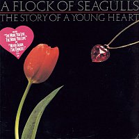 A Flock Of Seagulls – The Story Of A Young Heart