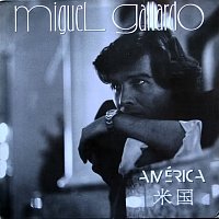 Miguel Gallardo – América