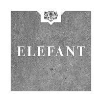 Bass Sultan Hengzt – Elefant