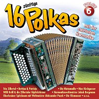 Přední strana obalu CD 16 zunftige Polkas mit der steirischen Harmonika Folge 6