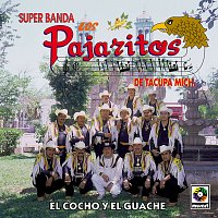 Los Pajaritos de Tacupa – El Cocho Y El Guache