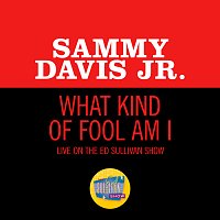 Sammy Davis Jr. – What Kind Of Fool Am I [Live On The Ed Sullivan Show, June 14, 1964]