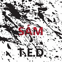 T.E.D. – Sám MP3