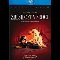 Různí interpreti – Zběsilost v srdci