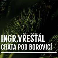 Honza Ingr, Zdeněk Vřešťál – Chata pod borovicí MP3