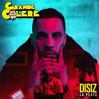 Disiz – Grande colere