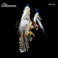 The Courteeners – Falcon