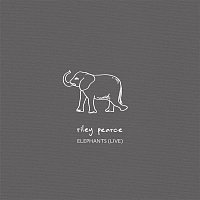 Riley Pearce – Elephants (Live)