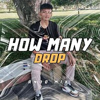 Přední strana obalu CD How Many Drop