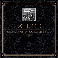 Přední strana obalu CD Grey Shapes on Concrete Fields