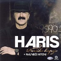 Haris Dzinovic – Pariske kapije i najveci hitovi