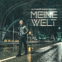 Přední strana obalu CD Meine Welt