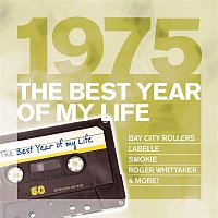 Various  Artists – The Best Year Of My Life: 1975