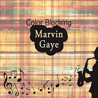 Marvin Gaye – Color Blocking