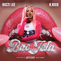 Přední strana obalu CD Bao Jela