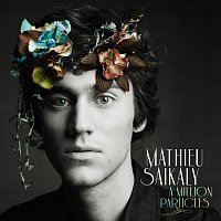Mathieu Saikaly – A Million Particles