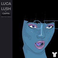 Luca Lush, Cappa – Not Your Baby