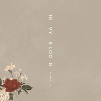 Shawn Mendes – In My Blood [Acoustic]