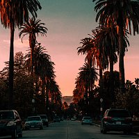 7Apes – Sunset Blvd