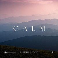 Různí interpreti – Calm Instrumental Covers