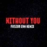 Fusion EDM – Without You (Remix)