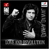 Jawad Ahmed – Love And Revolution