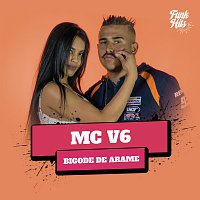 MC V6 – Bigode De Arame