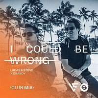 Lucas & Steve x Brandy – I Could Be Wrong (Club Mix)