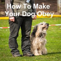 Simone Beretta – How to Make Your Dog Obey