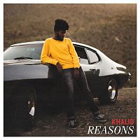 Reasons