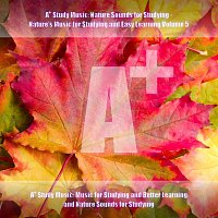 A+ Study Music: Music for Studying and Better Learning and Nature Sounds for Studying – A+ Study Music: Nature Sounds for Studying - Nature's Music for Studying and Easy Learning, Vol. 5