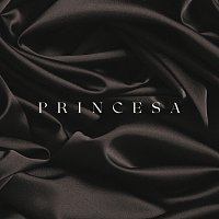 Fondo Flamenco – Princesa