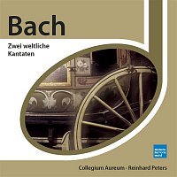 Bach: Zwei weltliche Kantaten