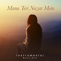 Mana Teri Nazar Mein [From "Khandaan" / Instrumental Music Hits]