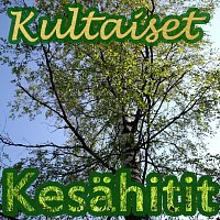 Různí interpreti – Kultaiset Kesahitit