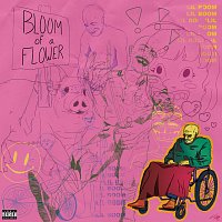 Lil Boom – Bloom of A Flower