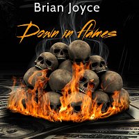 Brian joyce – Down in Flames